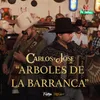 About Árboles de la Barranca Song