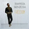 About Tempesta silenziosa Song
