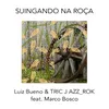 About Suingando na Roça Song