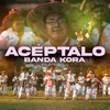 About Acéptalo Song