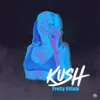 About Kush Song