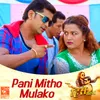 About Pani Mitho Mulako (From "Hero") Song