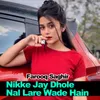 About Nikke Jay Dhole Nal Lare Wade Hain Song
