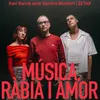 Música, ràbia i amor