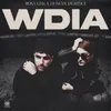 About WDIA (Would Do It Again) Song