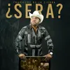 About ¿Sera? Song