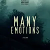 About Many Emotions Song