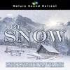 About Just Snow: 2 Hours of Sounds from the Natural World Blowing Snowstorm for Sleep & Relaxation Song