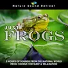 About Just Frogs: 2 Hours of Sounds from the Natural World Frog Chorus for Sleep & Relaxation Song