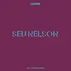 About Seu Nelson Song