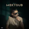 About Mektoub Song