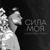 About Сила моя Song