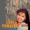 About Laki Pumaleh Song