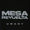 About Mesa revuelta Song