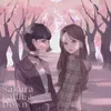 About Sakura Falling Down Song