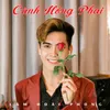 Cánh Hồng Phai