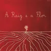 About A Raiz e a Flor Song