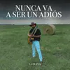 About Nunca Va a Ser Un Adiós Song