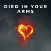 About Died In Your Arms Song