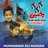 About Janam Janam Janam Ya Hussain A S Song