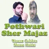 Pothwari Sher Majaz