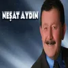 About Horon Kemençe Song