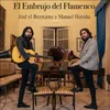 About El Embrujo del Flamenco Song
