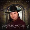 About Guayabo Motolito Song