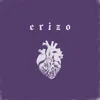 About Erizo Song