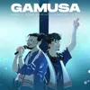 About Gamusa Song
