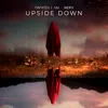 About Upside Down Song