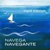 About Navega Navegante Song