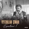 Bana Gül Diyorlar (Feyzullah Çınar Eserleri 1)