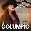 About El Columpio Song
