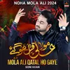 About Mola Ali A.S Qatal Ho Gaye Song