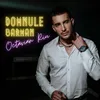 Domnule Barman