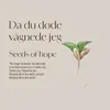 About Seeds Of Hope Song