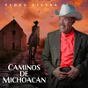 About Caminos de Michoacán Song