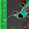 About hummingbird Song