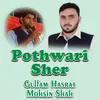 Pothwari Sher