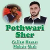 About Pothwari Sher Song