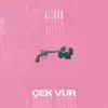 About ÇEK VUR Song