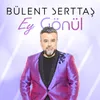 About Ey Gönül Song