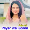 Peyar Nai Sokha