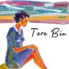 About Tere Bin Song