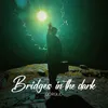 About Bridges in the Dark Song