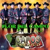 About Flor Del Campo Song