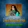 About Zeest Mushkil Hai Song