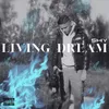 About Living Dream Song