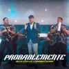 About Probablemente Song